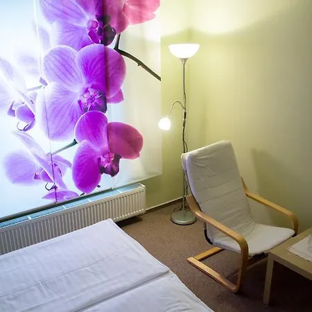 U Zamecke Zahrady Guest house 3*