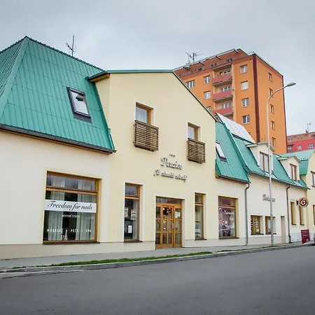 Guest house U Zamecke Zahrady 3*